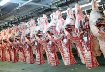 Rindfleisch
