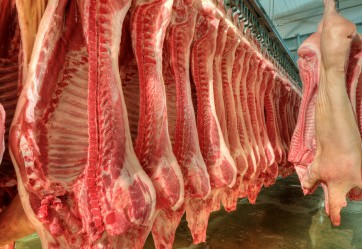 Schweinefleisch